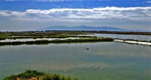 陕西100个示范村名单 (陕西省级示范村名单)