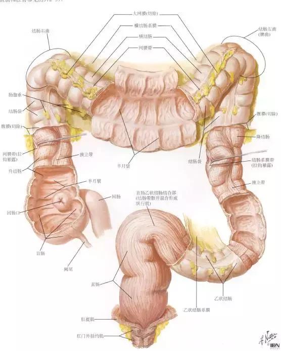 活人能让屎憋死吗,活人还能让尿憋死吗