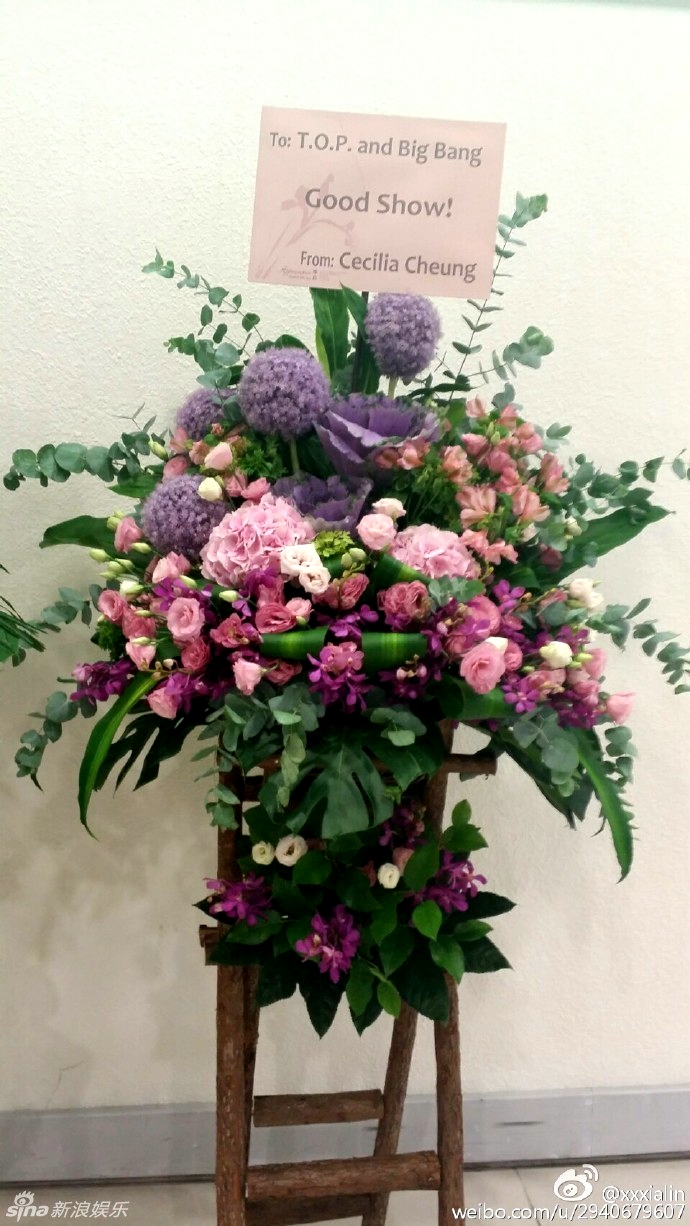 柏芝和霆锋近况,柏芝和霆锋最新消息