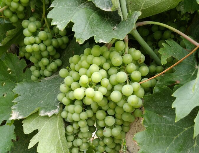 城里人太会玩素材,城里人太会玩完整版