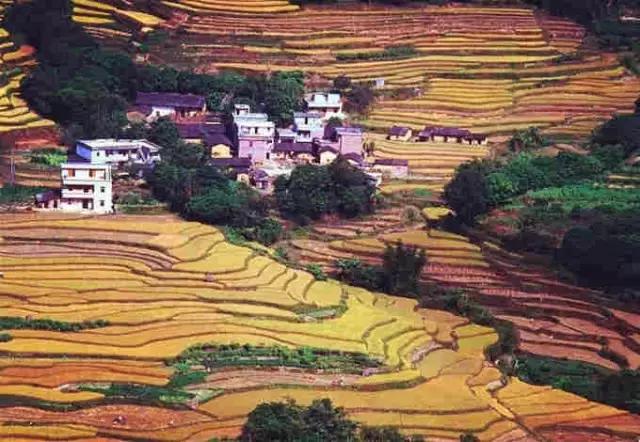 从粤a来到粤b的城市,从粤a到粤z都是哪些城市