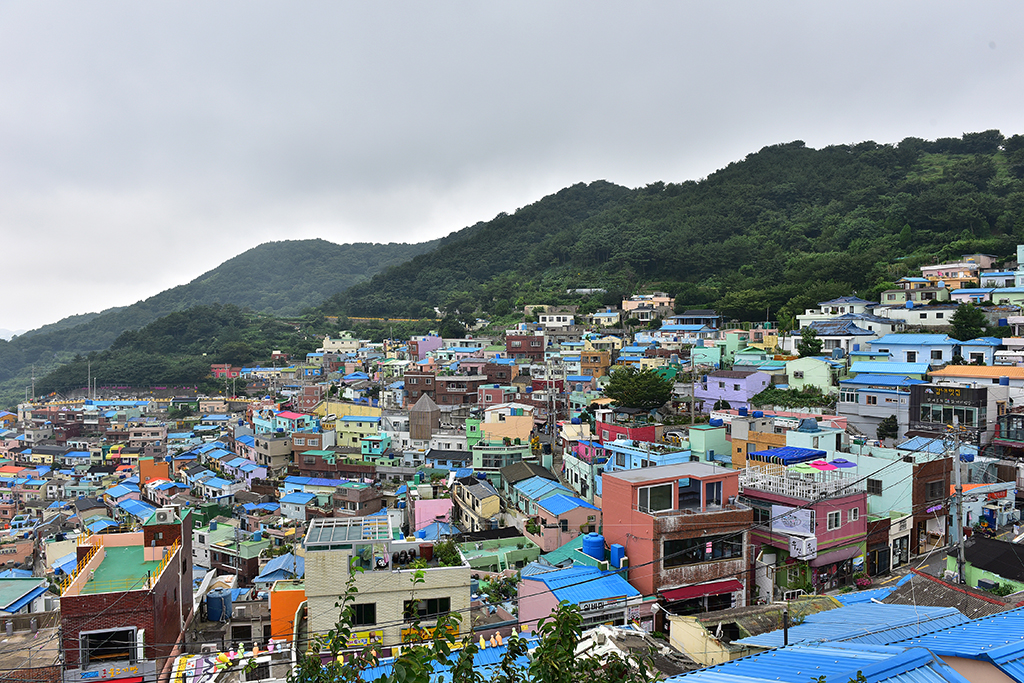 在淘宝上能买到正品的韩国货吗,在韩国电商卖什么畅销