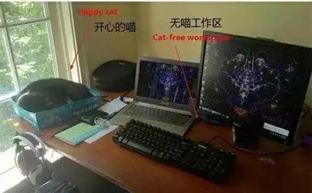 如何判定是优秀狗狗铲屎官,什么级别的铲屎官