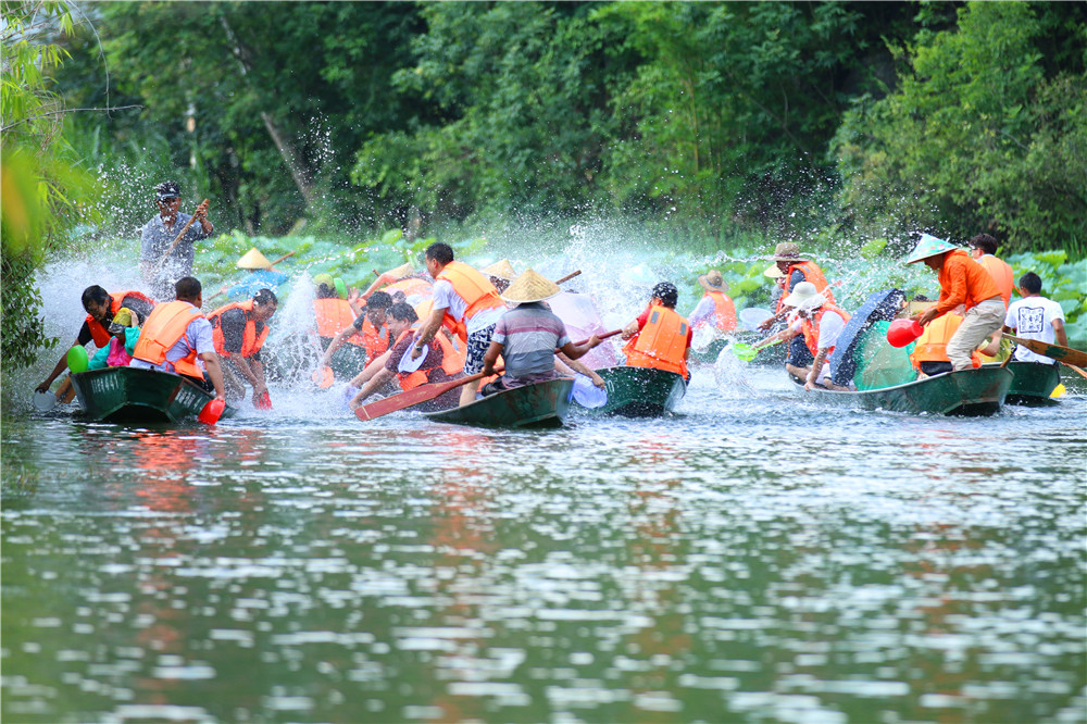 *萨特帕**一场与荷花无法拒绝的浪漫之旅