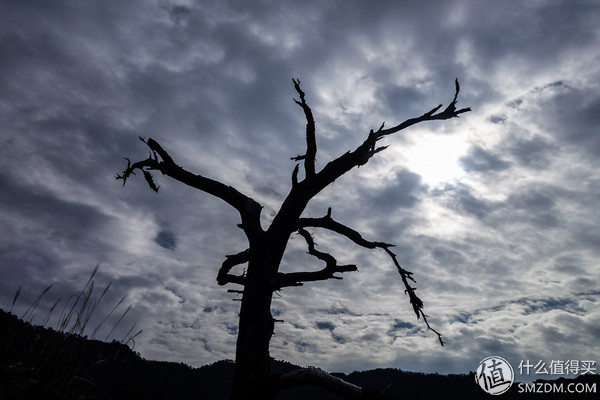 户外运动打底衣评测,icebreaker冲锋衣