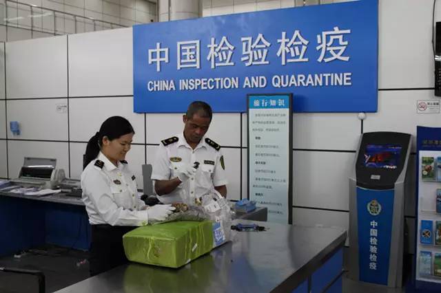 国内怎么玩pokemongo2020,大陆怎么才可以玩pokemongo