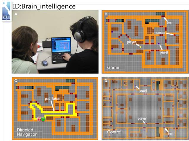 游戏是如何控制大脑的,游戏改变大脑