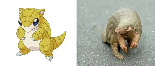 国内怎么玩pokemongo2020,大陆怎么才可以玩pokemongo