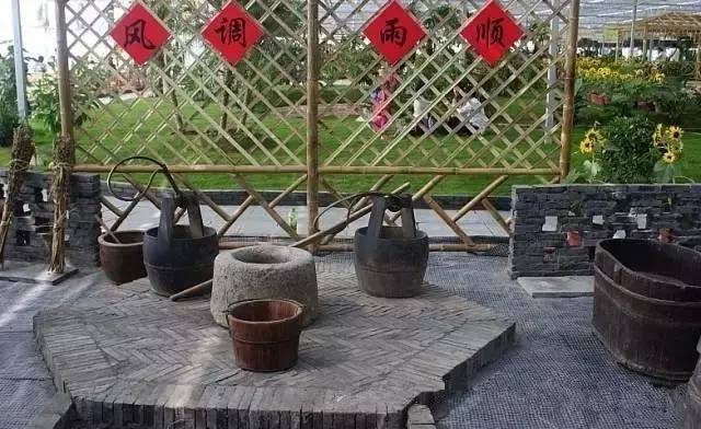 休闲农业可以开发哪些创意,休闲农业学什么课程