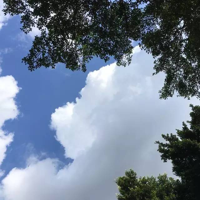 始终护住你的孩子气,总有人还愿意守护你的孩子气