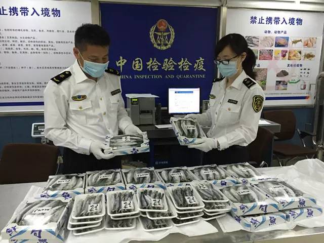 国内怎么玩pokemongo2020,大陆怎么才可以玩pokemongo