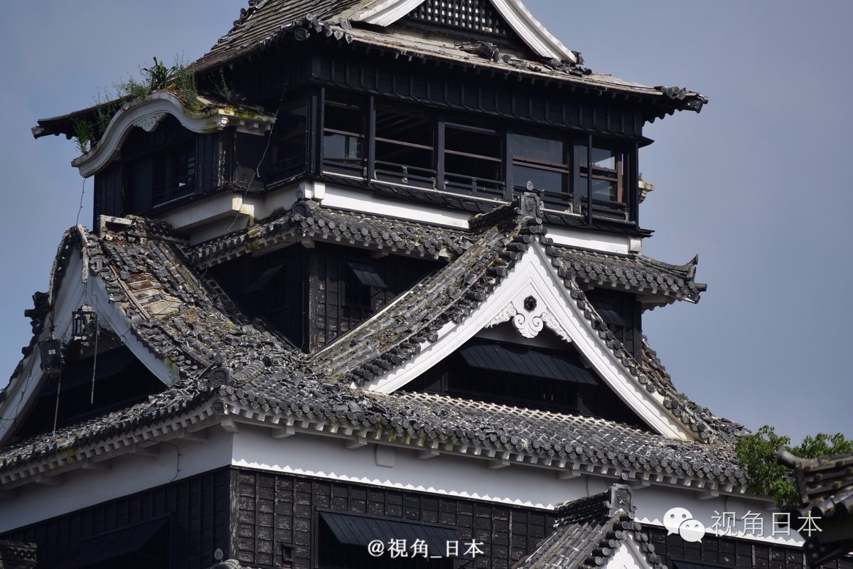 吉卜力美术馆香港,三鹰之森吉卜力美术馆到成田机场