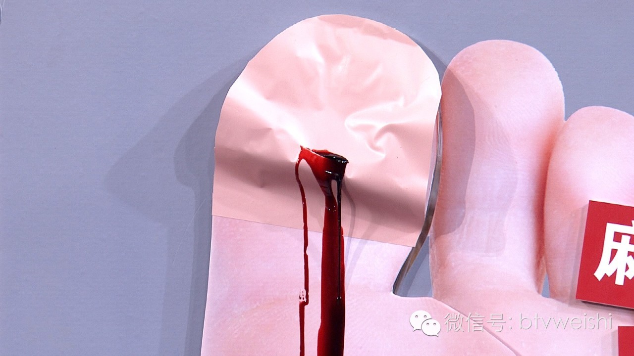 养生堂今天的直播回放,养生堂今日现场直播回放