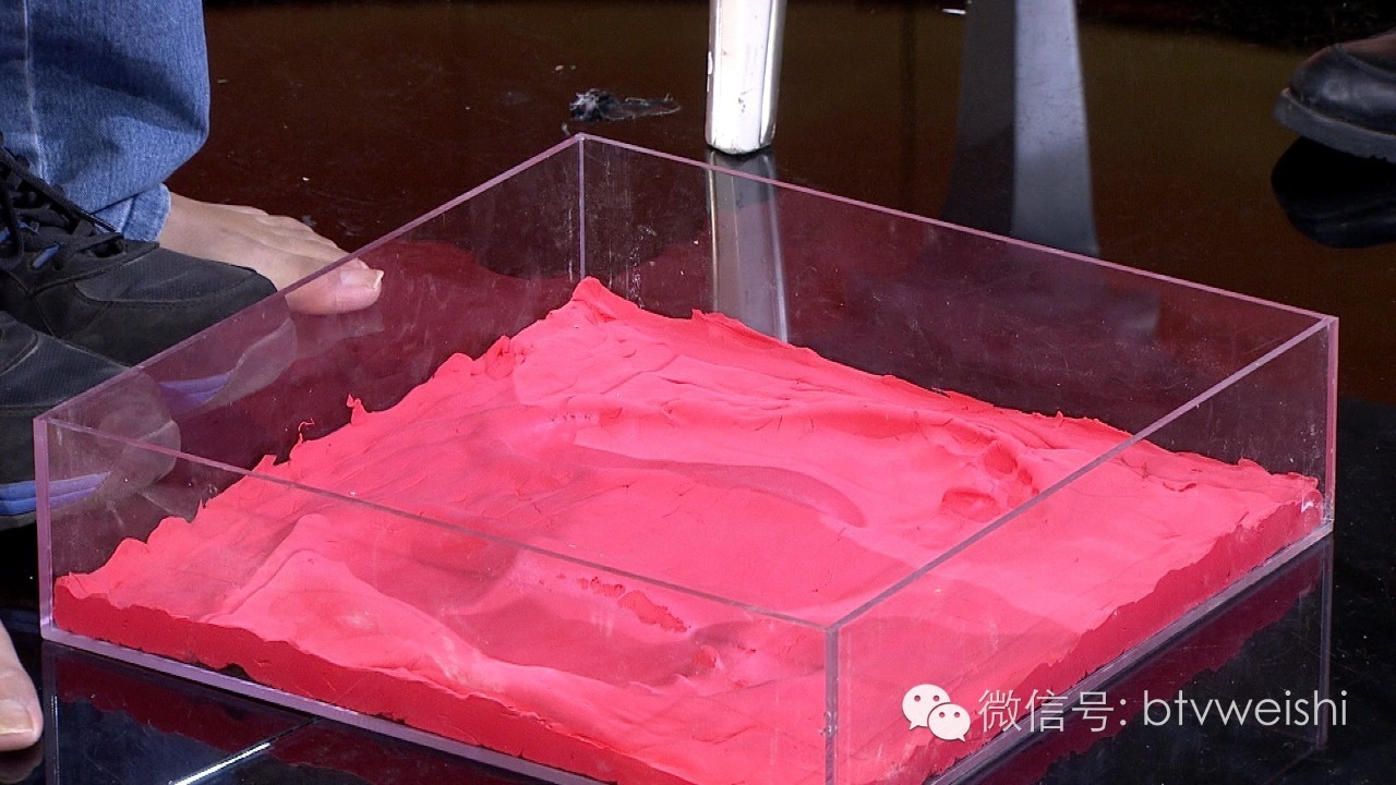 养生堂今天的直播回放,养生堂今日现场直播回放