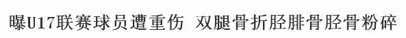 登巴巴断腿康复,让悲剧不再重演下一句怎么写