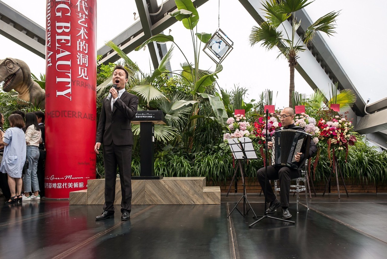 凤凰艺术2019,凤凰艺术