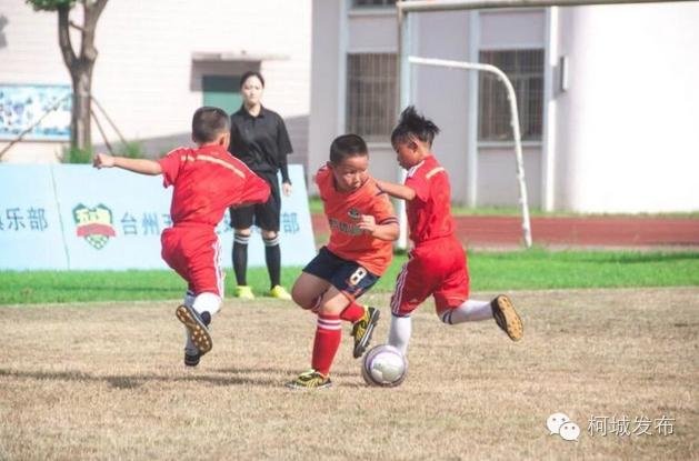 不得了！柯城这群绿荫小将拿了全省冠军！