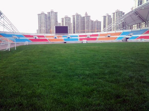 汉中市足球场有哪些,汉中汉台足球场