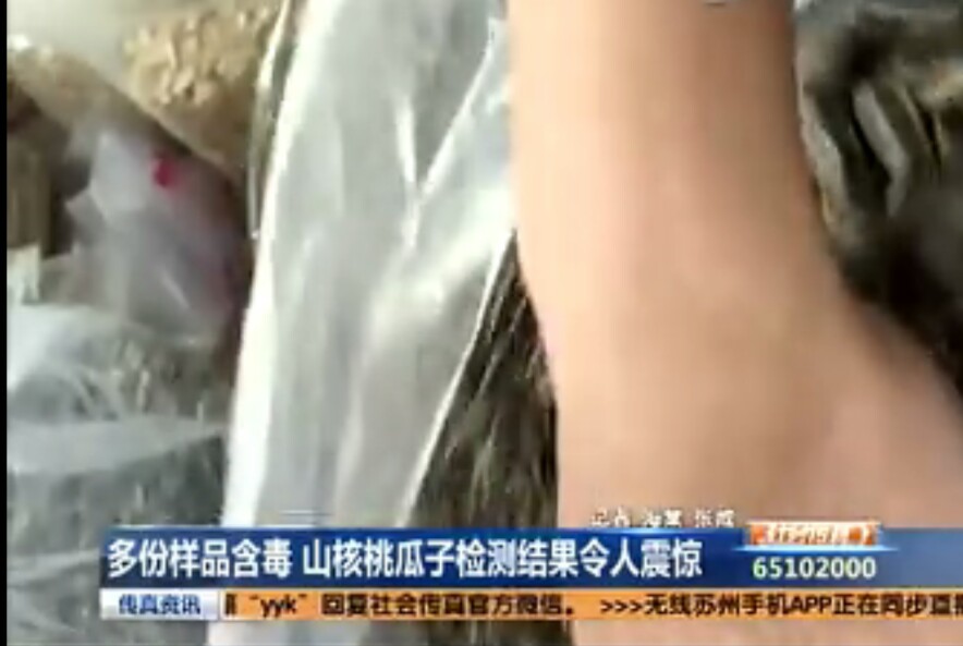 什么样的瓜子能多吃 (瓜子有哪几种不宜吃)