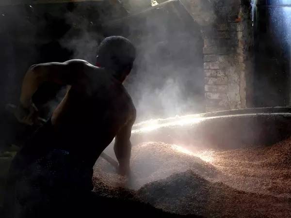 河南南阳产的小米黄酒,南阳小米黄酒