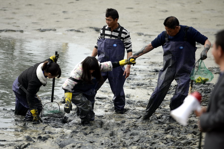 云霄海鲜美食节，干塘激情上演“浑水摸鱼”，女人免费摸