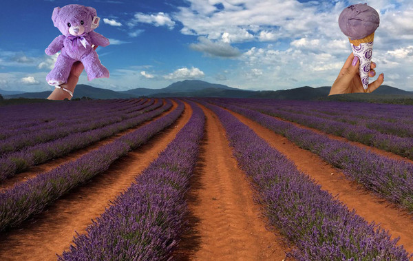 探索|澳洲啤酒的前世今生