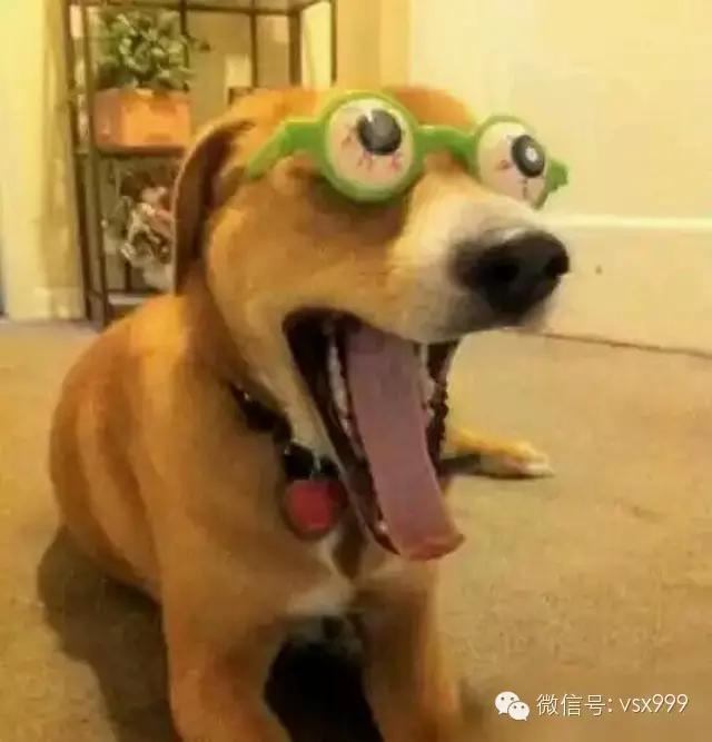 超内涵笑话第87期：萝莉有三好，柔体轻音易推倒