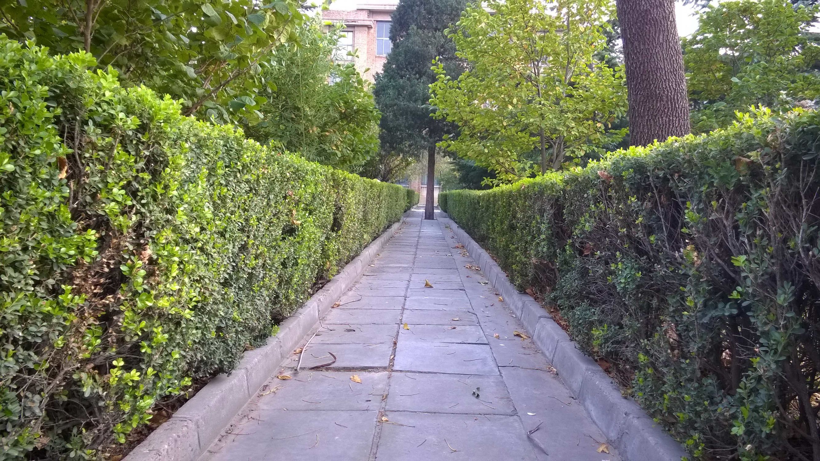 曾经的手机巨头诺基亚,体验经典之诺基亚lumia830