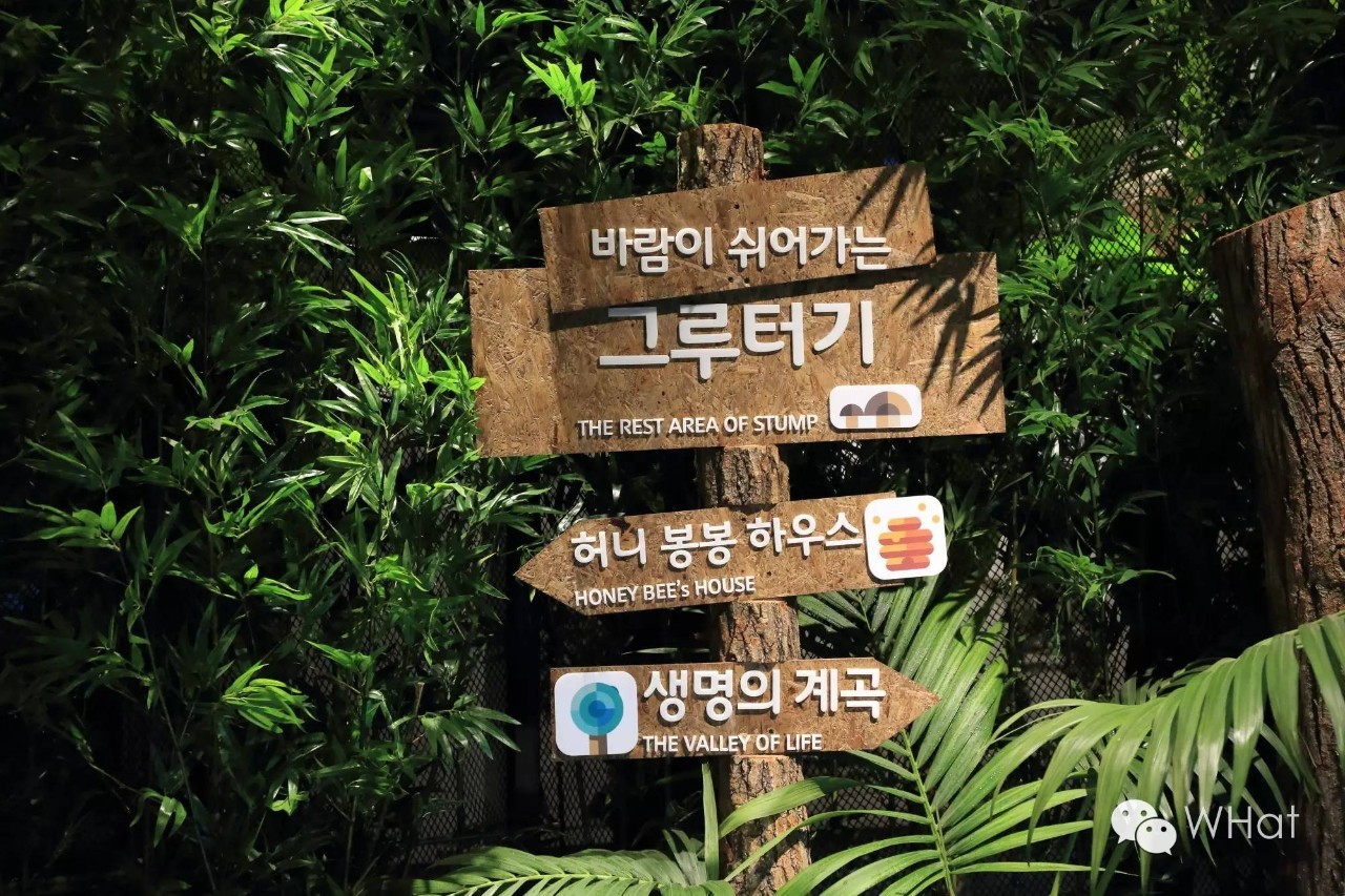 武汉天地壹方概况,武汉天地壹方值得去吗