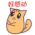 温网最新消息今天,温网最新战况最新消息