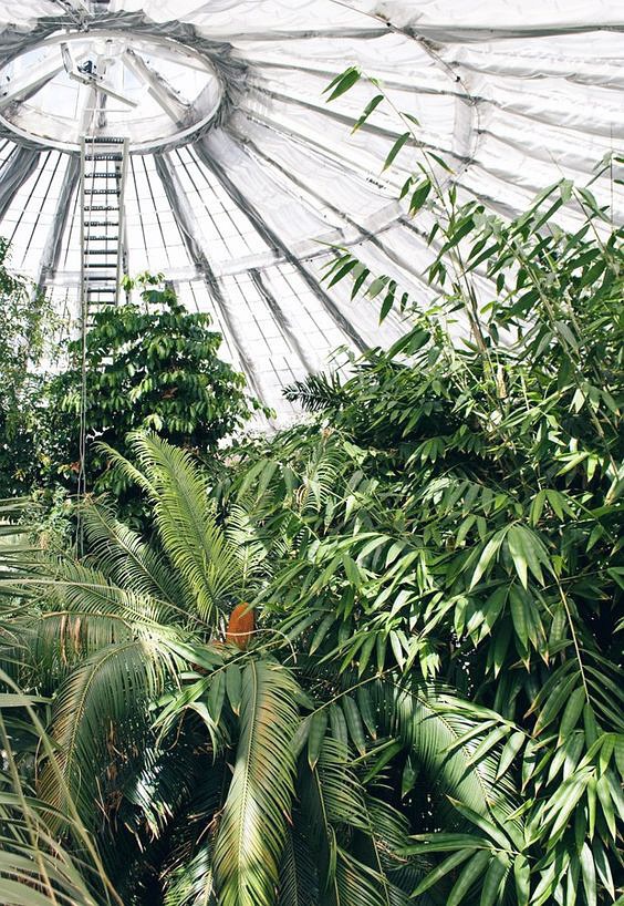 哥本哈根北欧完整版,哥本哈根北欧之丹麦