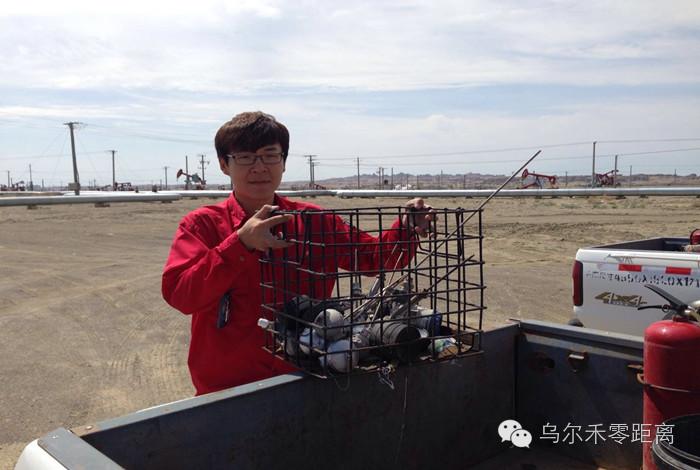 选择平庸虽稳妥，但绝无色彩丨风城之声