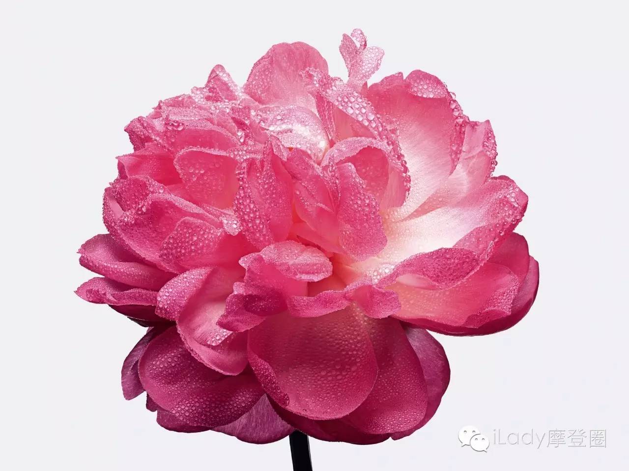 新一代“迪奥小姐”邀你重回墨山城堡！要来体验吗？