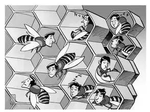 宁波再次领跑全国被世界瞩目,宁波拿了几枚金牌