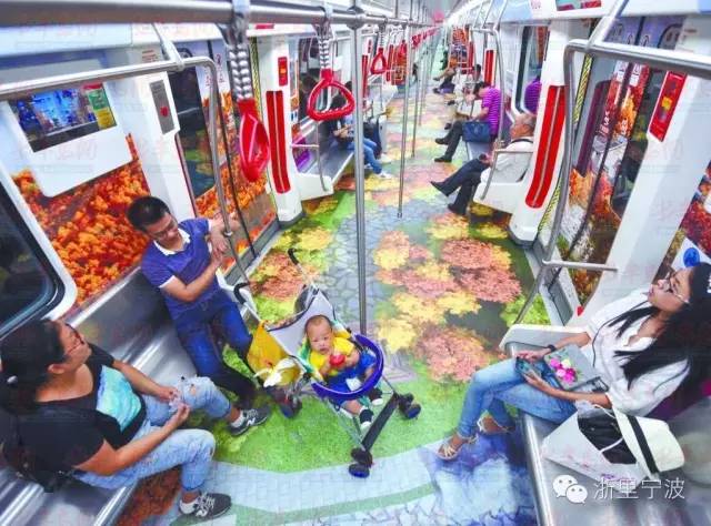 宁波再次领跑全国被世界瞩目,宁波拿了几枚金牌