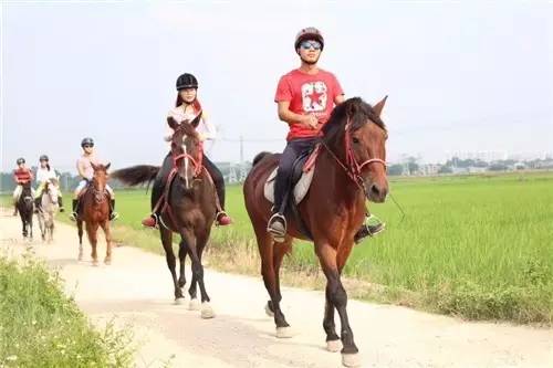 广西玉林最近发生什么新闻,玉林最近大事