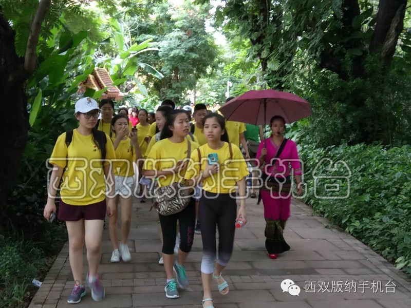 “中国寻根之旅”|51名华裔青少年的西双版纳情节