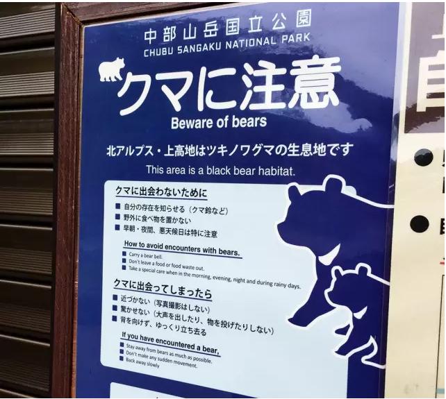 动物生气的后果很严重,去野生动物园关注事项