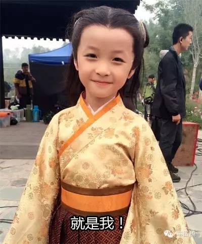 passat帕萨特和迈腾区别,passat因为什么销量下滑