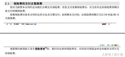 保险合同里的几个期你都知道吗,保险合同要看哪些内容