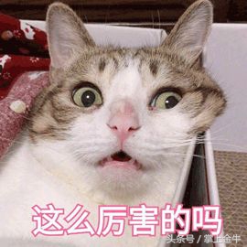 关注！北部新城要放“大招”了！这8个市级重大项目，一个比一个厉害……