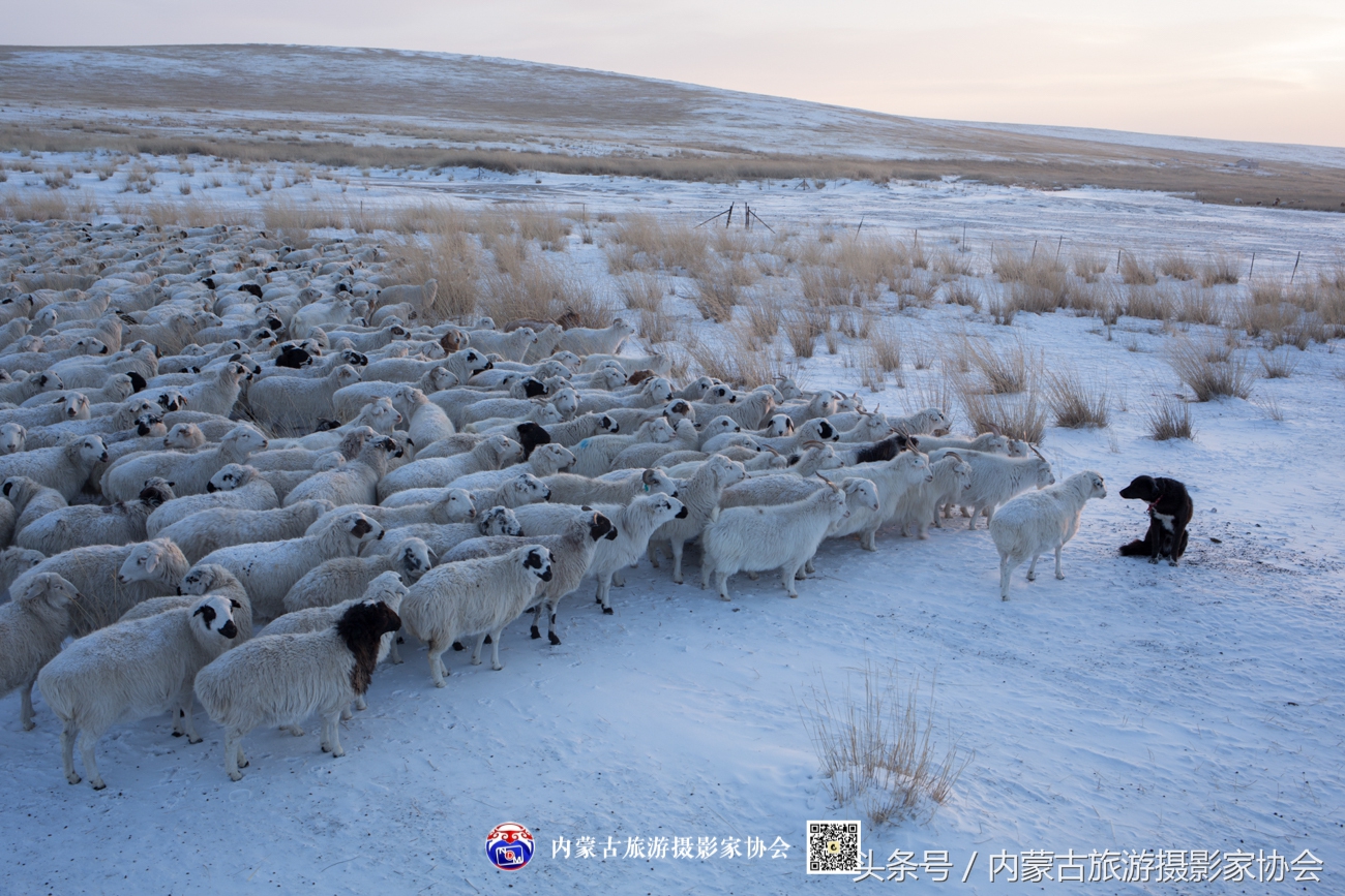 2018平遥摄影节参观攻略,平遥国际摄影大展旅游