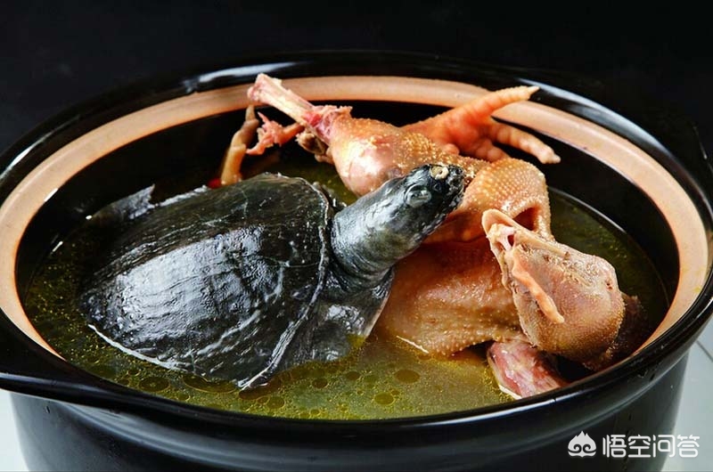 令人惊呆的菜谱,震惊九大菜系