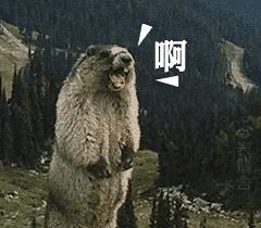 成都37个足球场,成都新增33座足球场