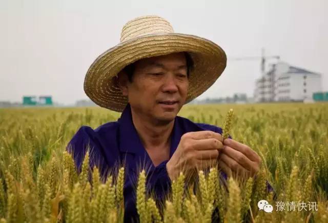 2021年南阳市劳动模范公示名单,河南省劳动模范和先进工作者名单