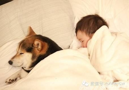 6岁男童头皮屑特别多是怎么回事,小男孩有很多头屑