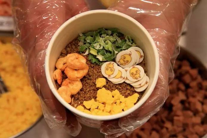 日本稀奇古怪的博物馆,新奇特的室内景点