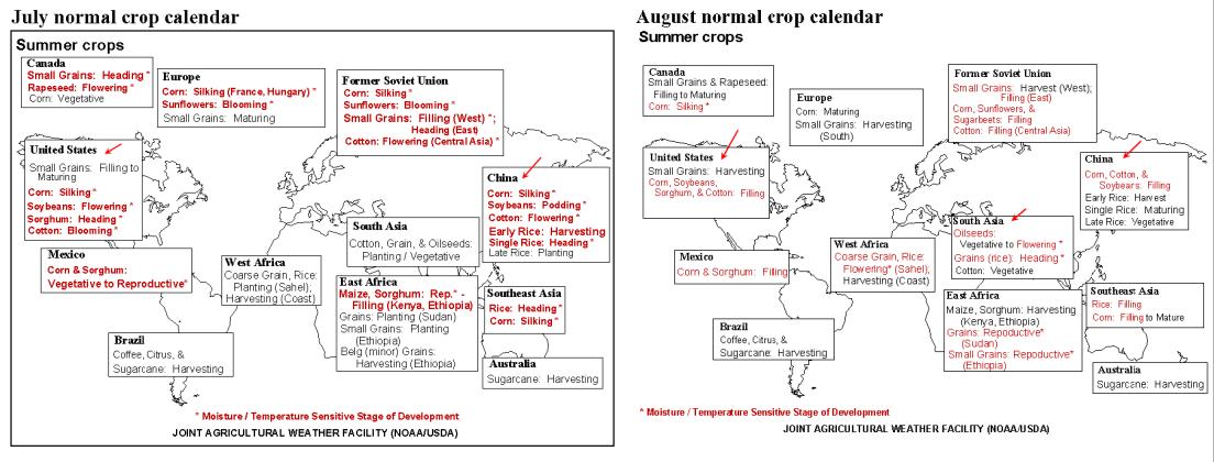期货作手刘强,期货手风云录刘强