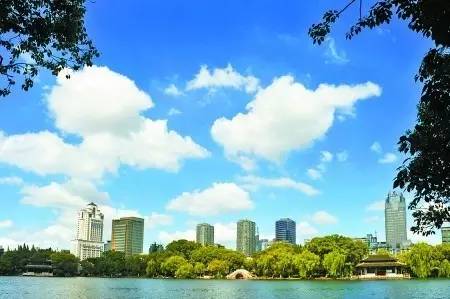 宁波再次领跑全国被世界瞩目,宁波拿了几枚金牌