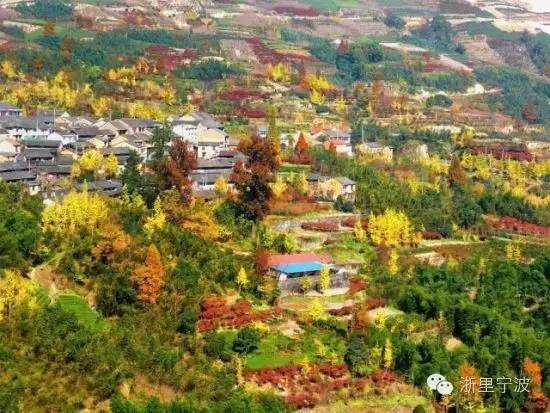 宁波再次领跑全国被世界瞩目,宁波拿了几枚金牌